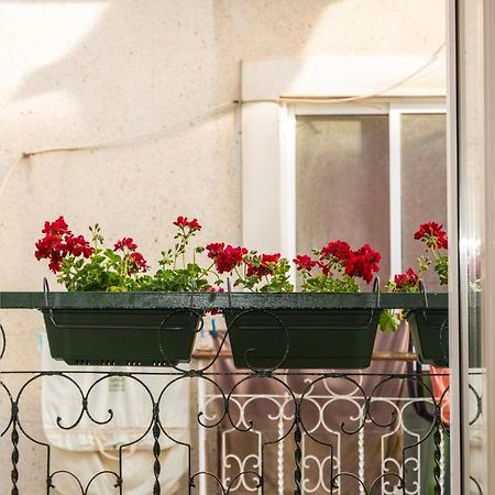 Apartmán Arrabida House Setúbal Exteriér fotografie